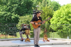Le Faux Orchestre 4 * 5184 x 3456 * (8.95MB)